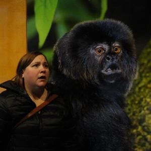 Meet your Posher, Jasmine